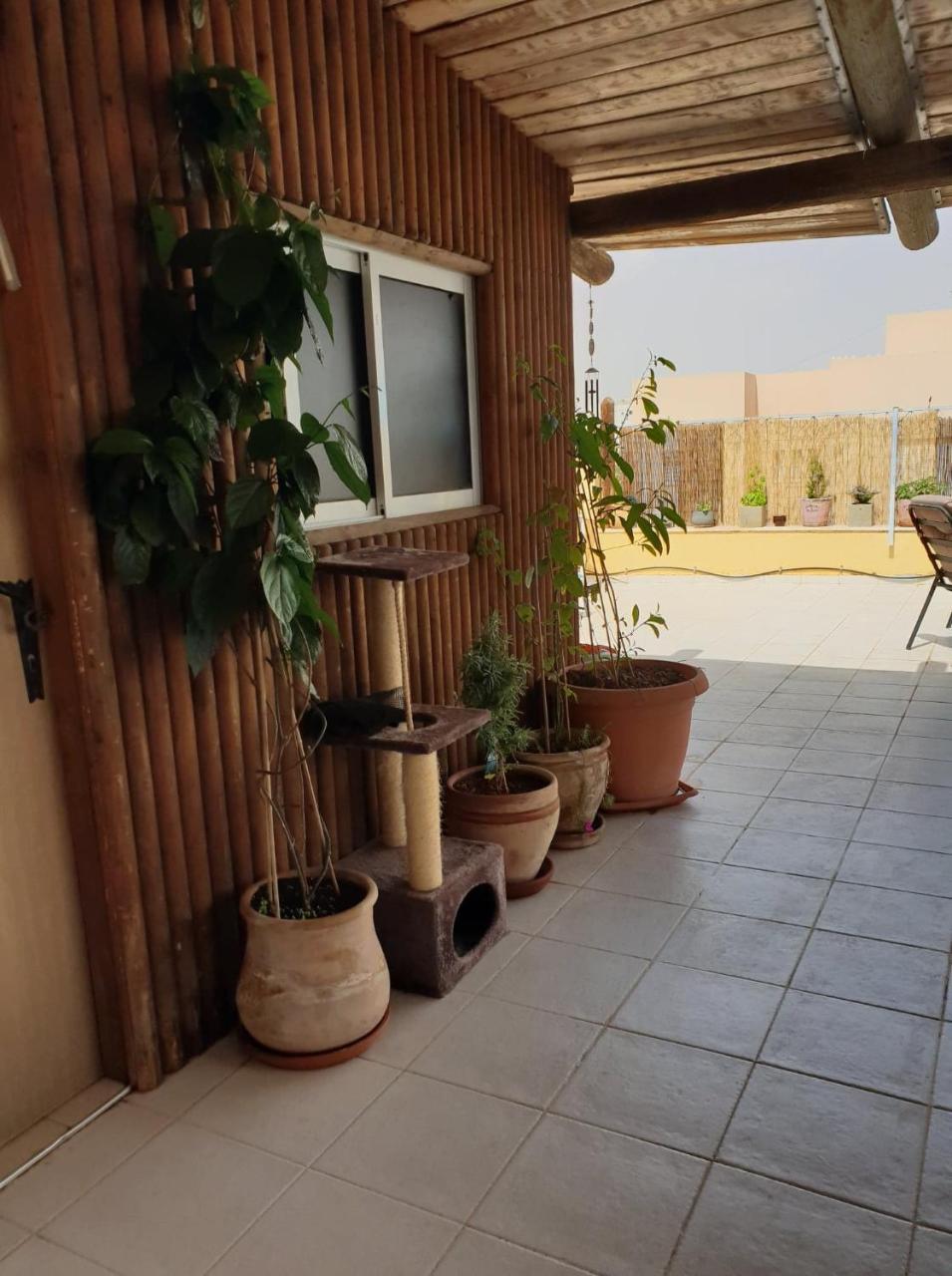 Oasis Mist Apartment Eilat Exterior photo